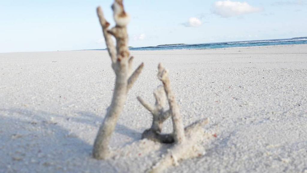 Madi Finolhu Guest House Dharavandhoo Ngoại thất bức ảnh