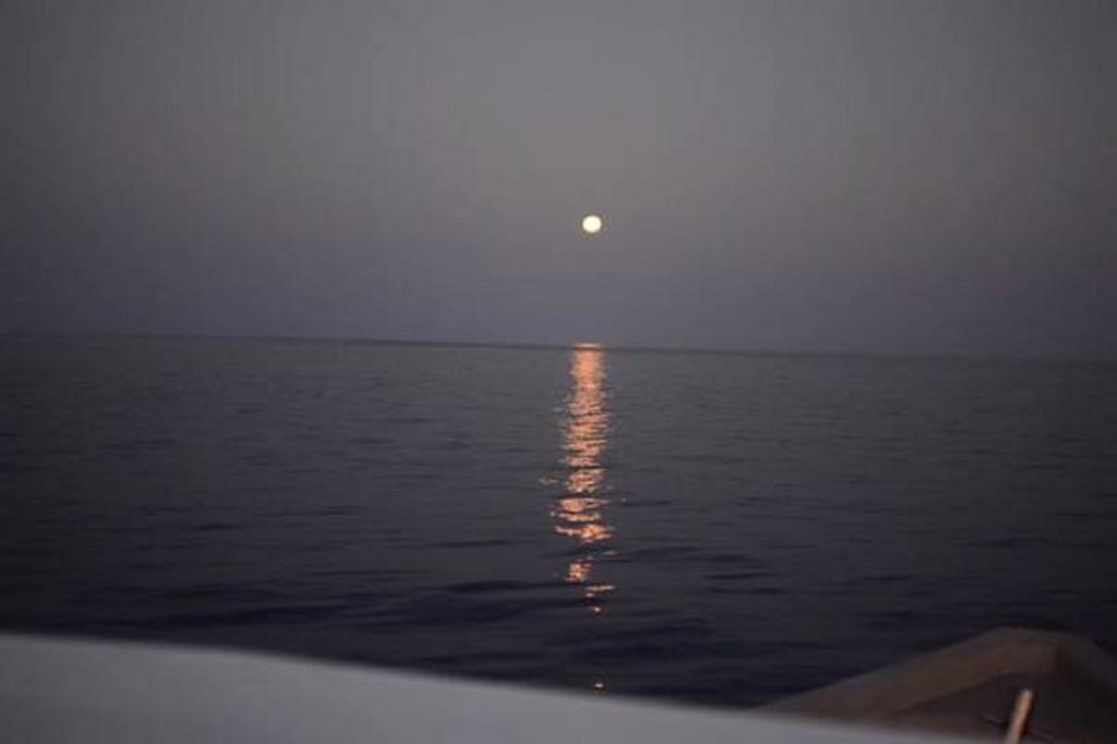 Madi Finolhu Guest House Dharavandhoo Ngoại thất bức ảnh