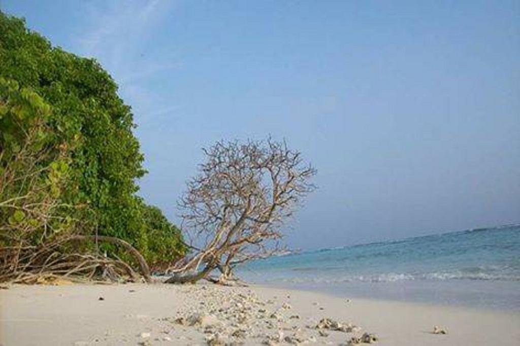 Madi Finolhu Guest House Dharavandhoo Ngoại thất bức ảnh